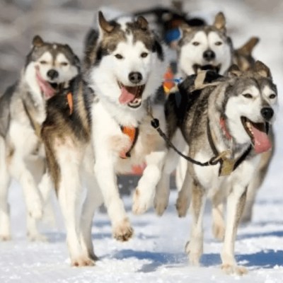 Colaboraciones profesionales en&nbsp;informes